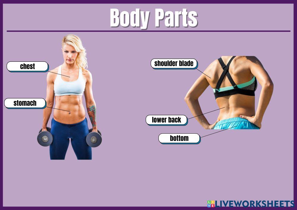 Body parts 2 listening