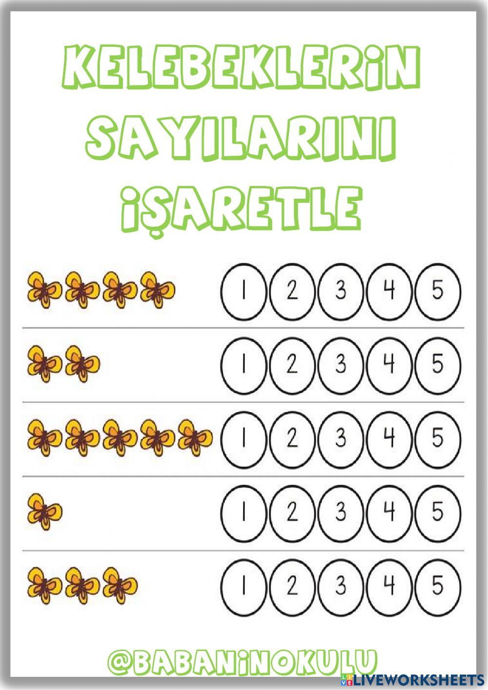 KELEBEĞİN OLUŞUMU KELEBEĞİN OLUŞUMU