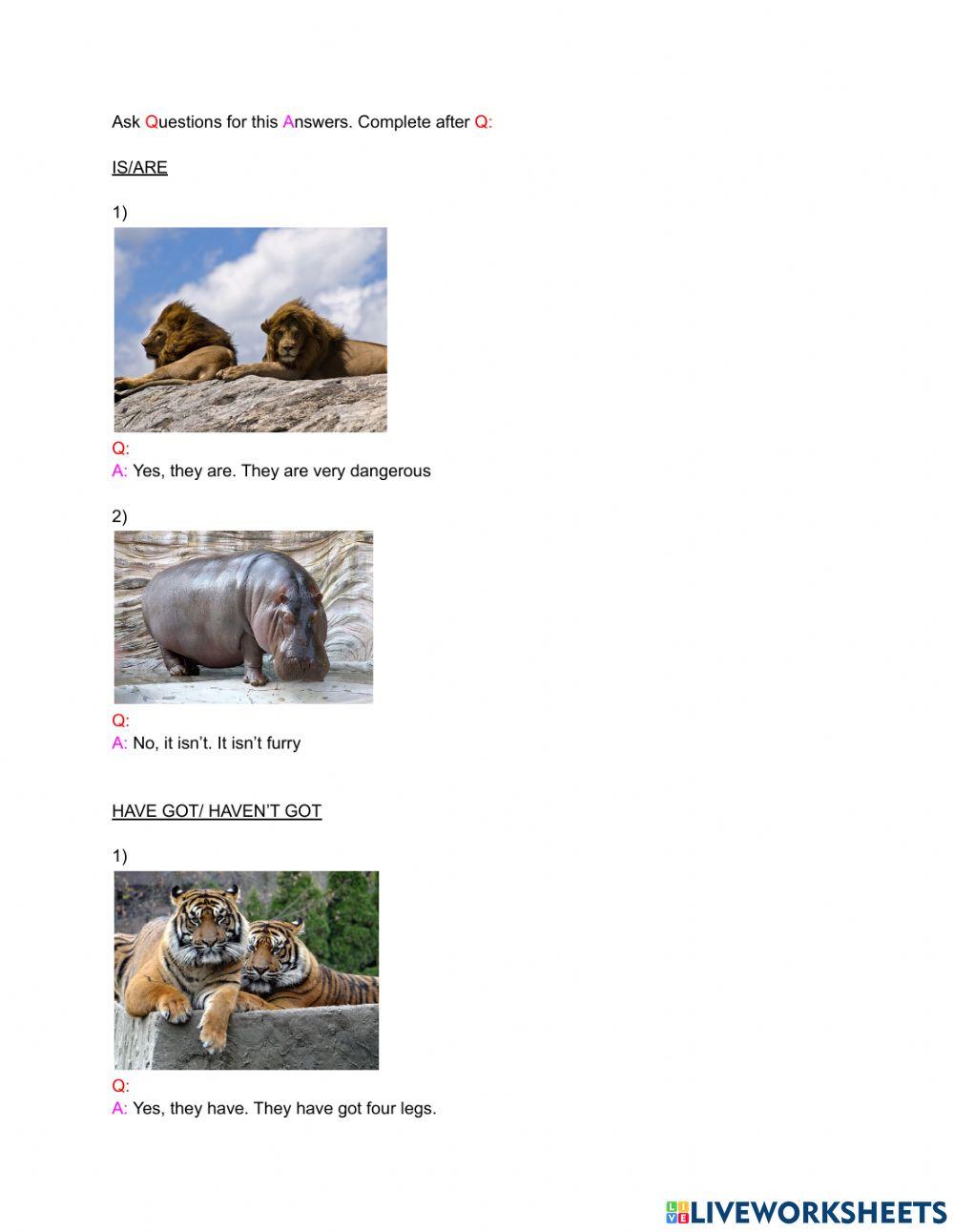 Can-have got-is-are questions