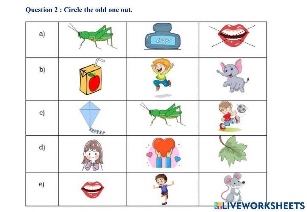 Đề cương smart start 2