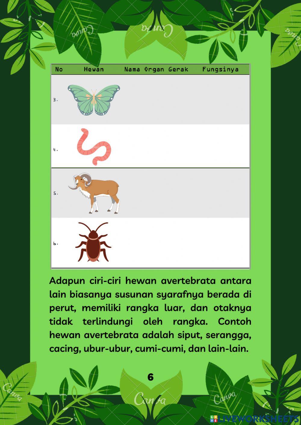 Organ Gerak Pada Hewan (Revisi)