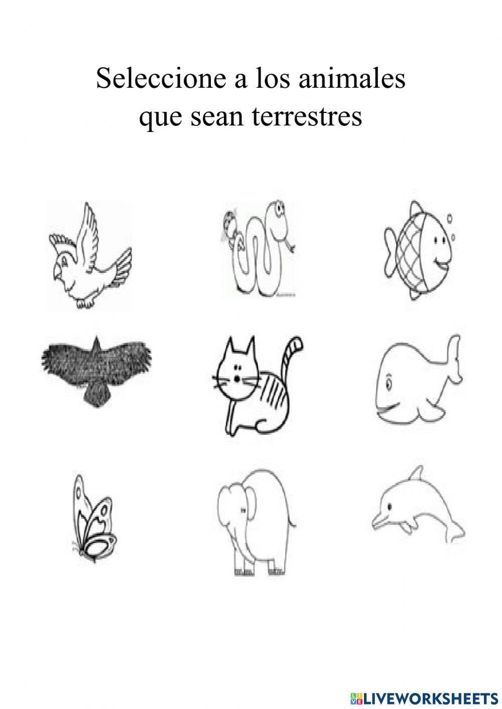 Animales terrestres