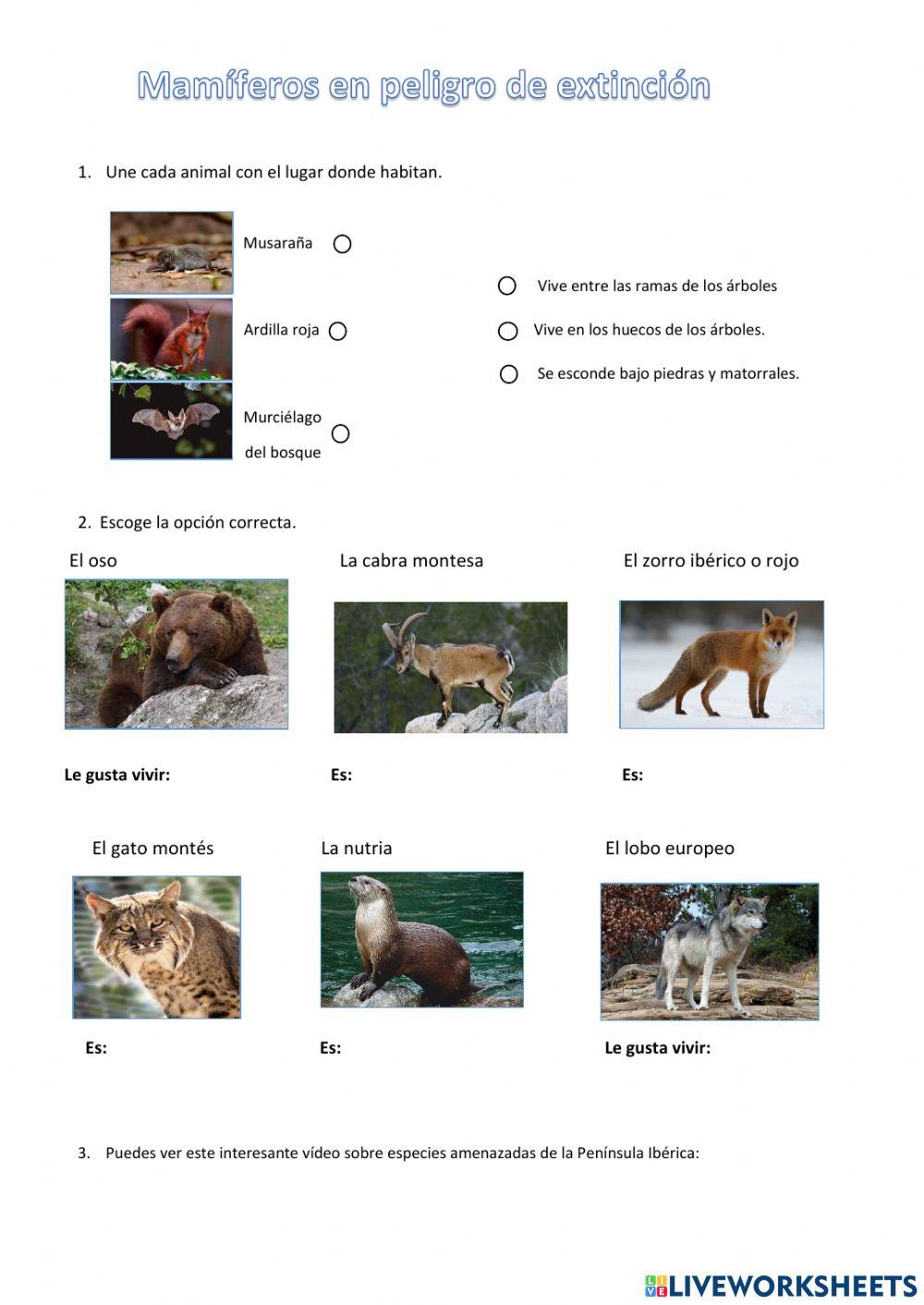 Mamíferos en extinción