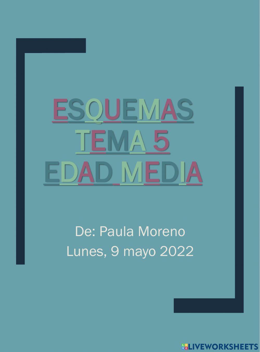 Esquemas soci edad media