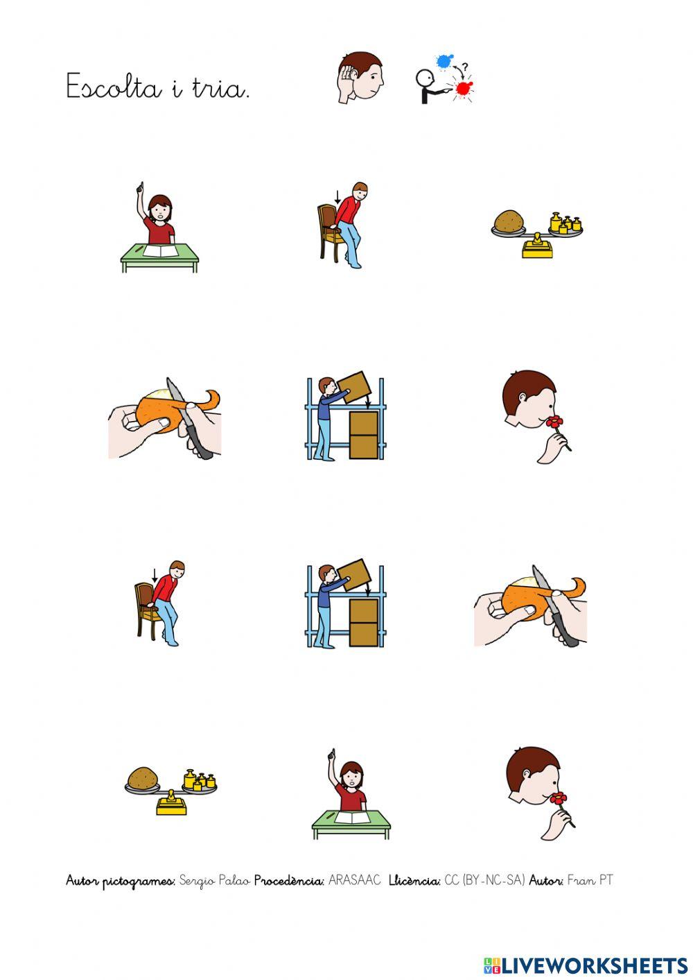 Llegir verbs amb p, l, s.