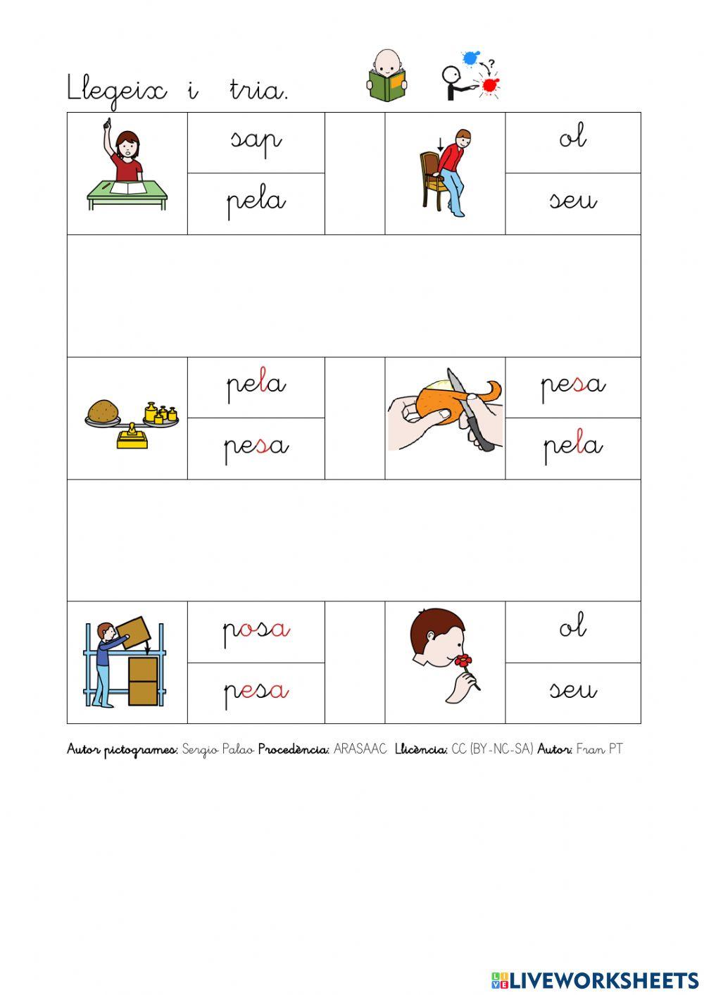 Llegir verbs amb p, l, s.