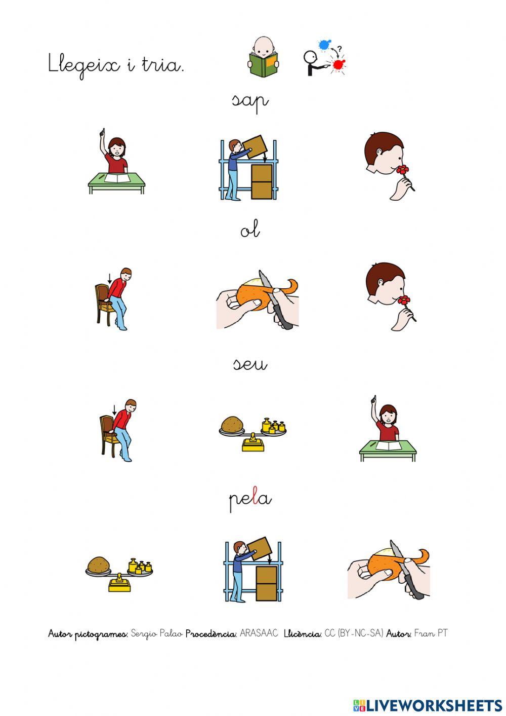 Llegir verbs amb p, l, s.