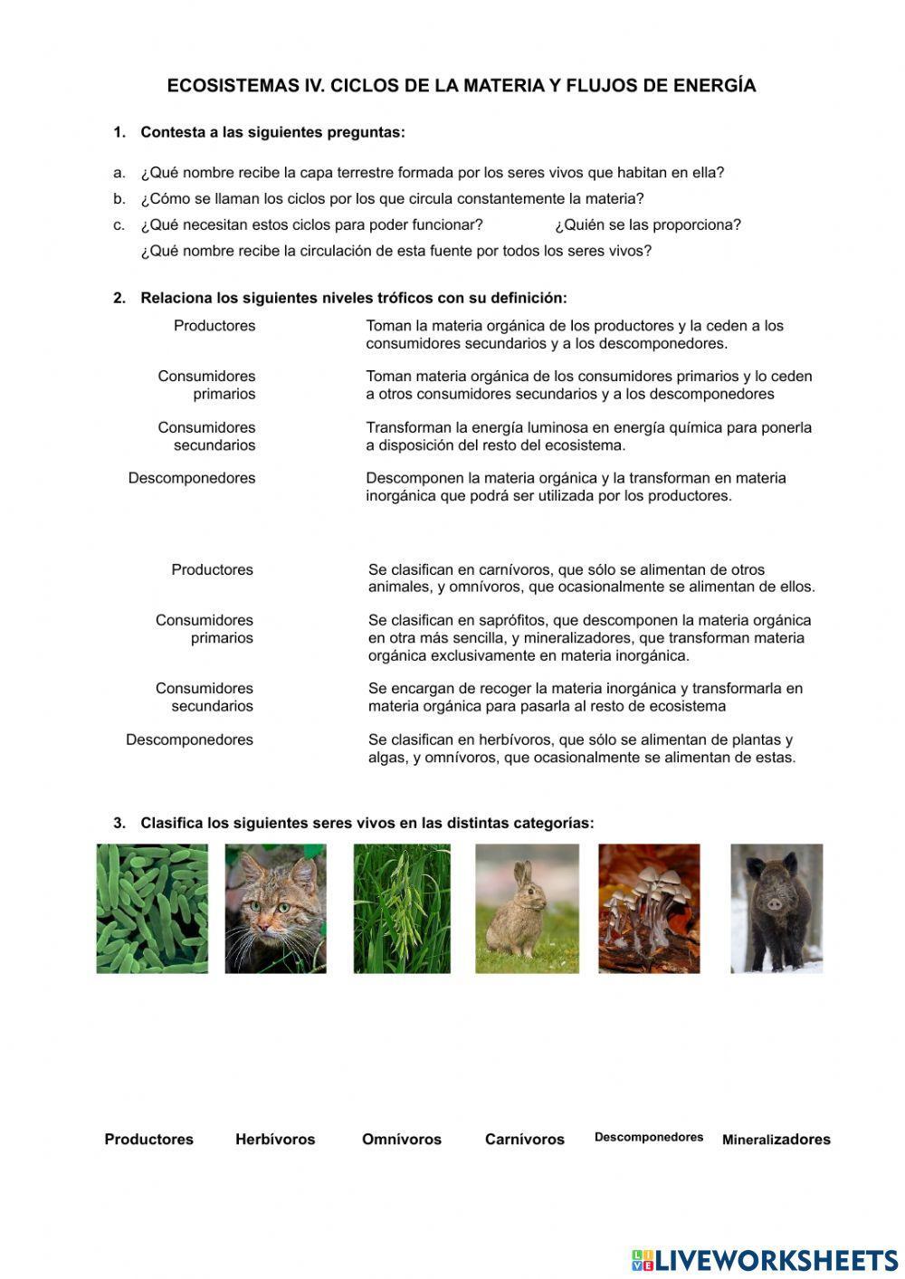 ecosistemas IV. Ciclos de materia y flujos de energía