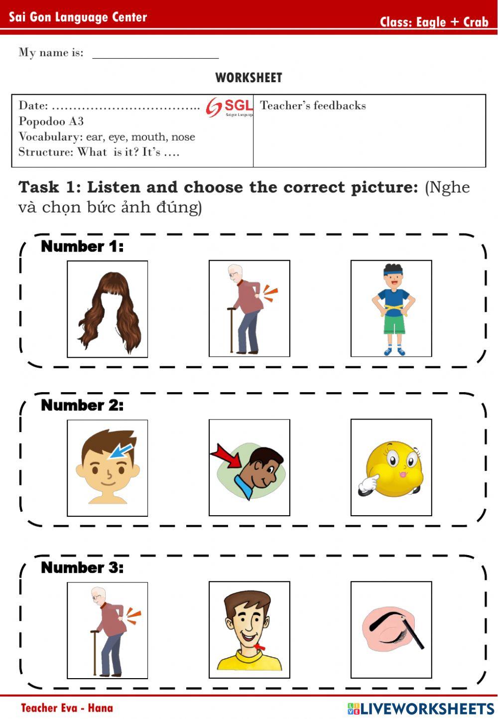 PPD A3 - Eagle, Crab