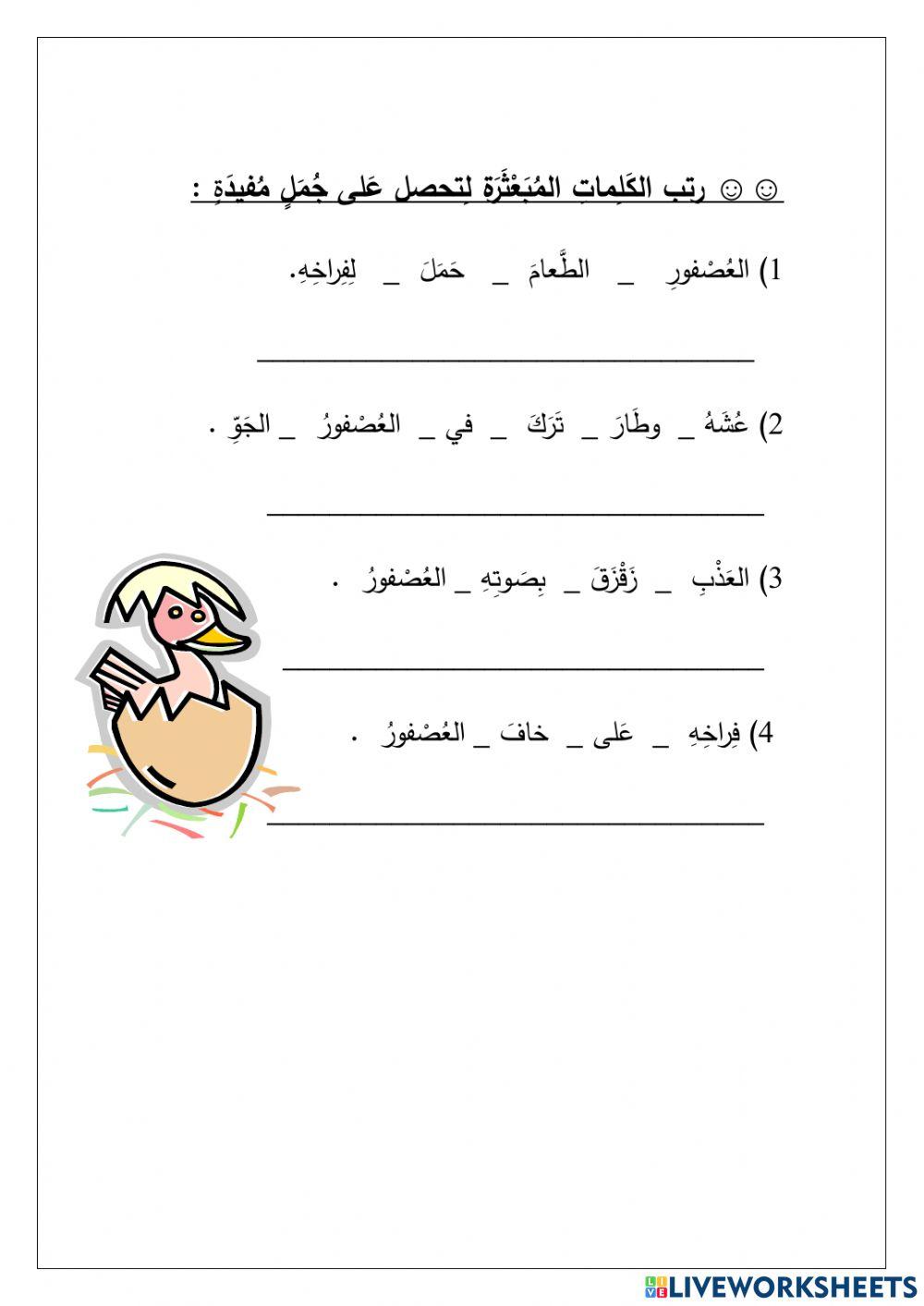 اين ذهبت الفراخ