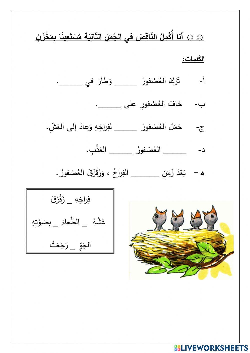 اين ذهبت الفراخ