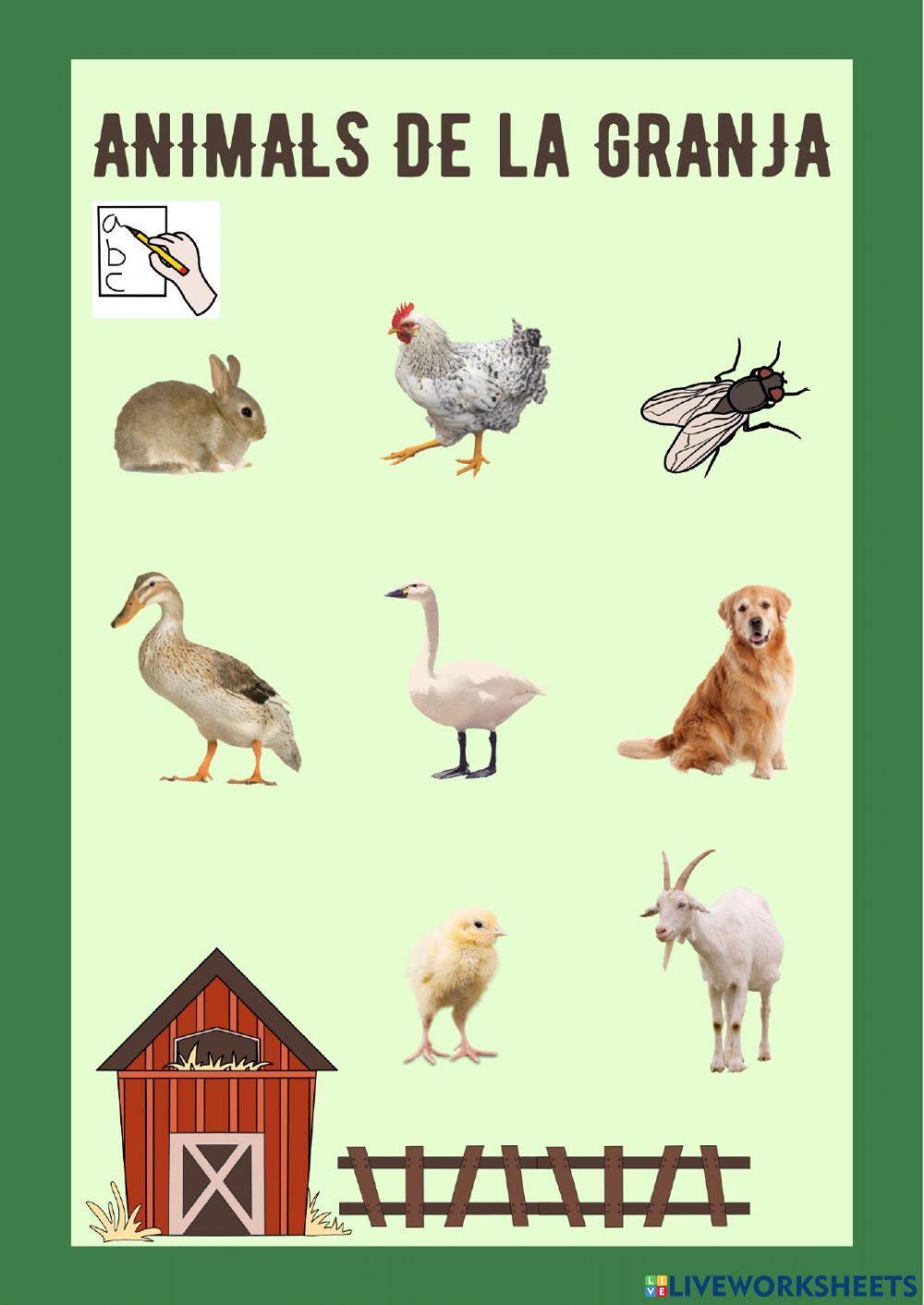 Animals de granja