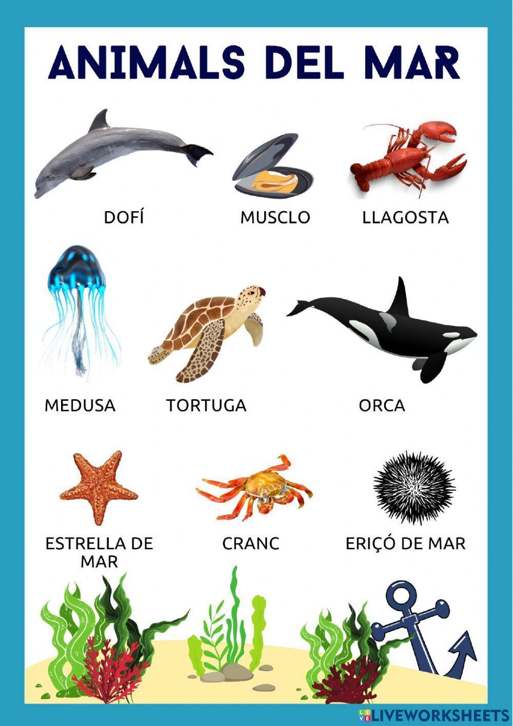 Animals de mar