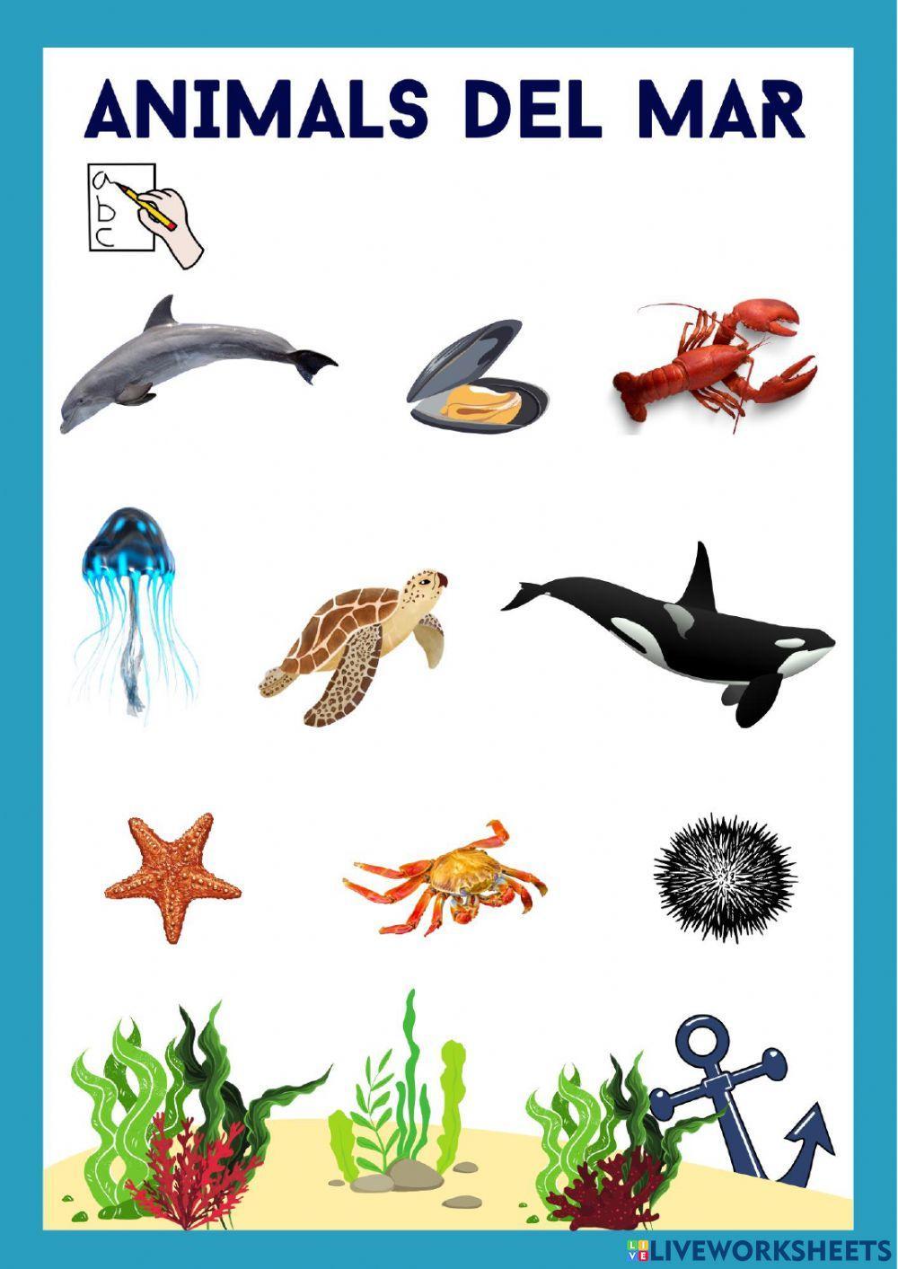 Animals de mar