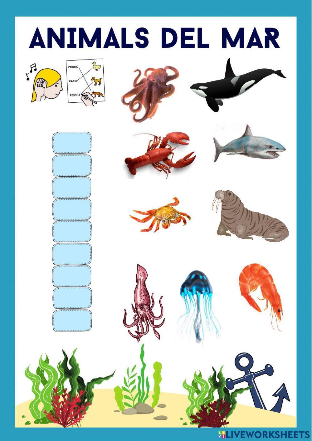 Animals de mar Animals de mar