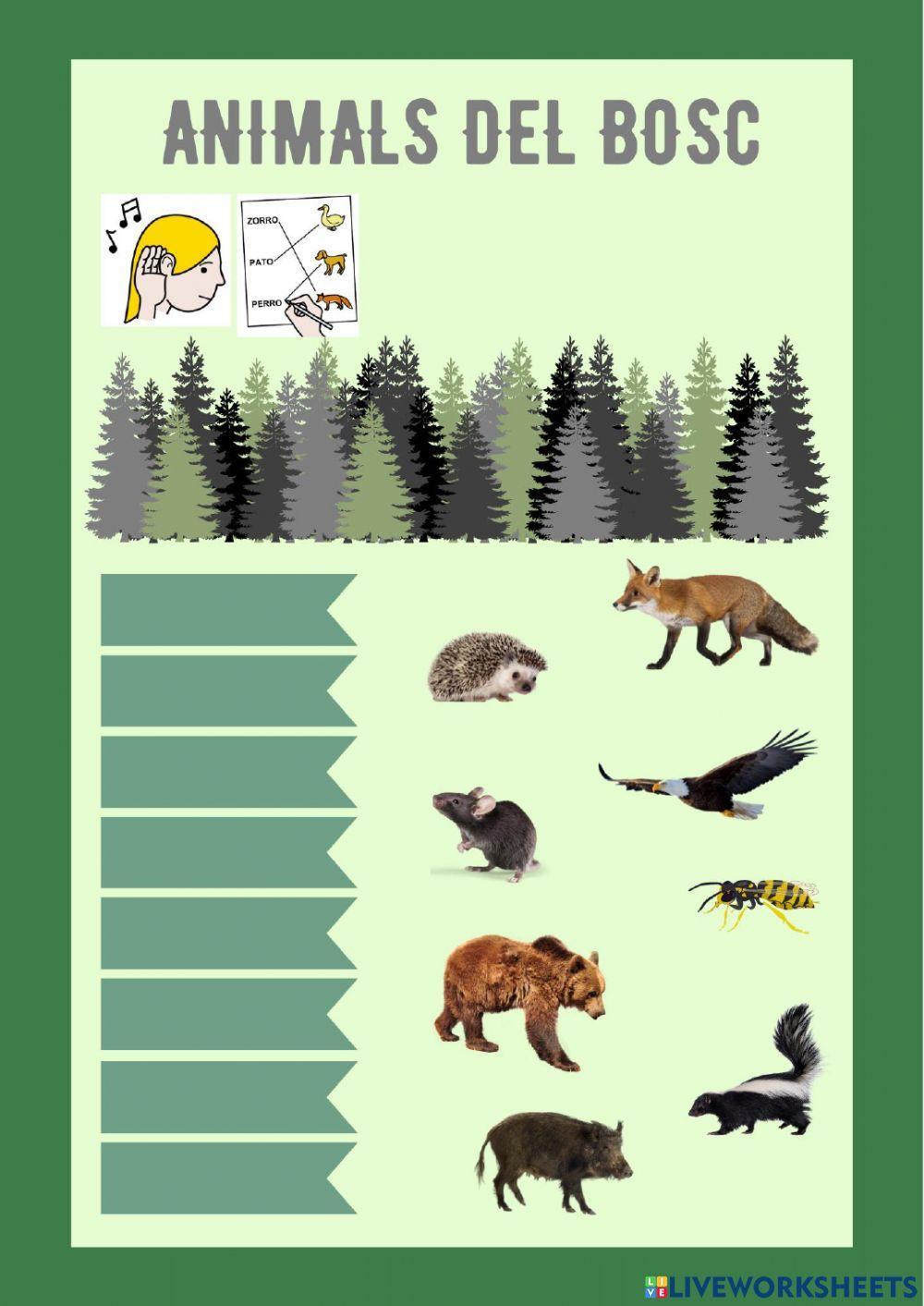 Animals del bosc Animals del bosc