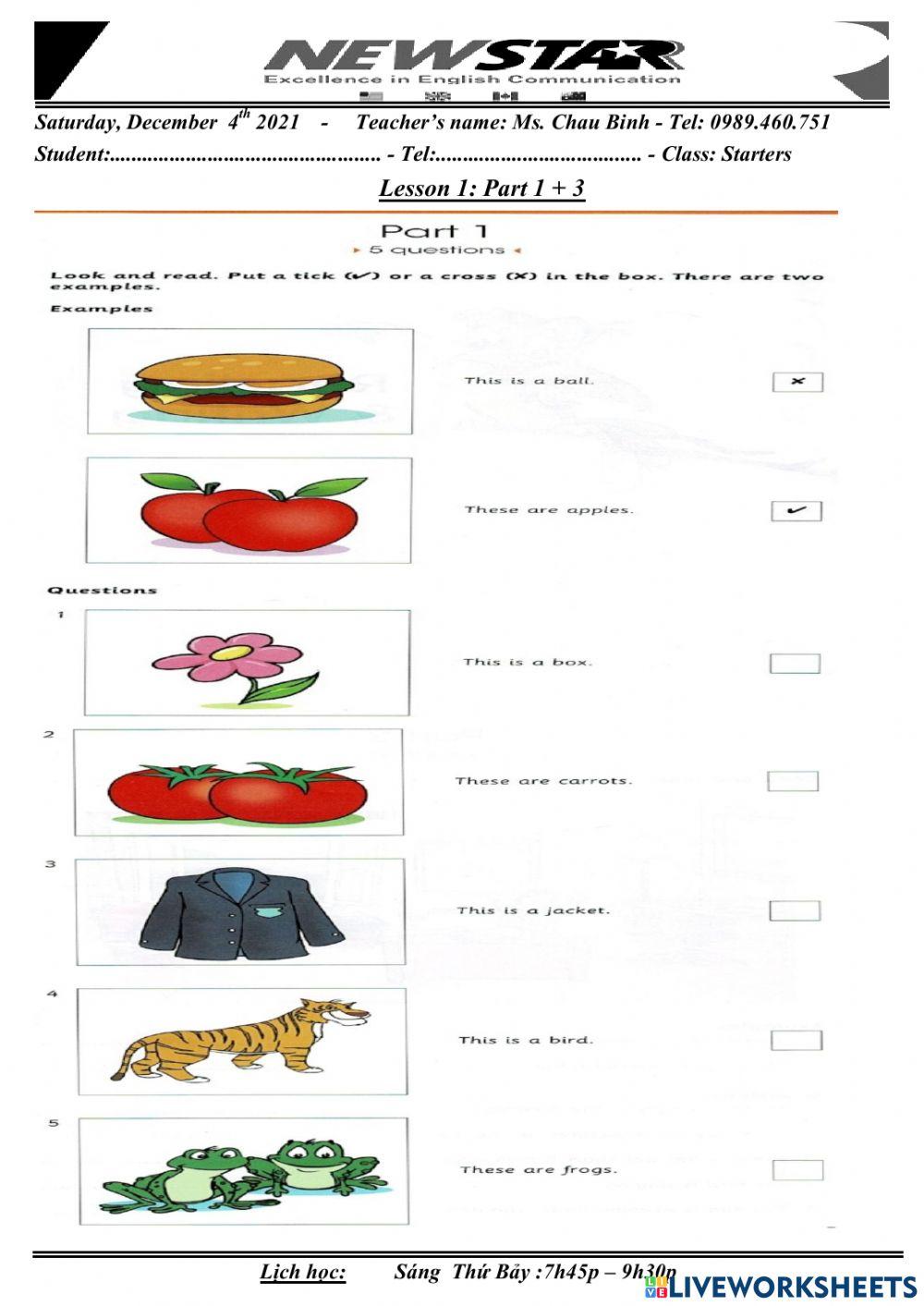 Starter lesson 1 Châu Thị Bình Live Worksheets