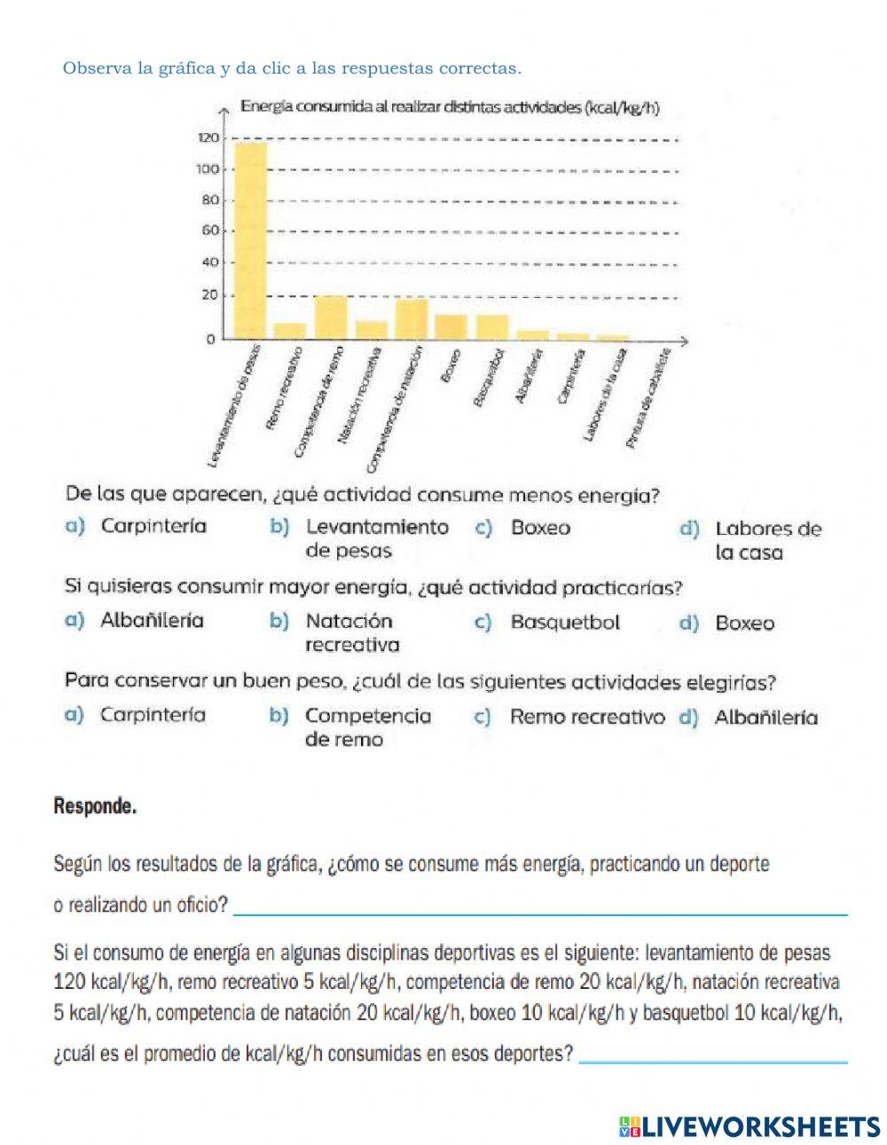 Organizacion de datos y reporte de resultados