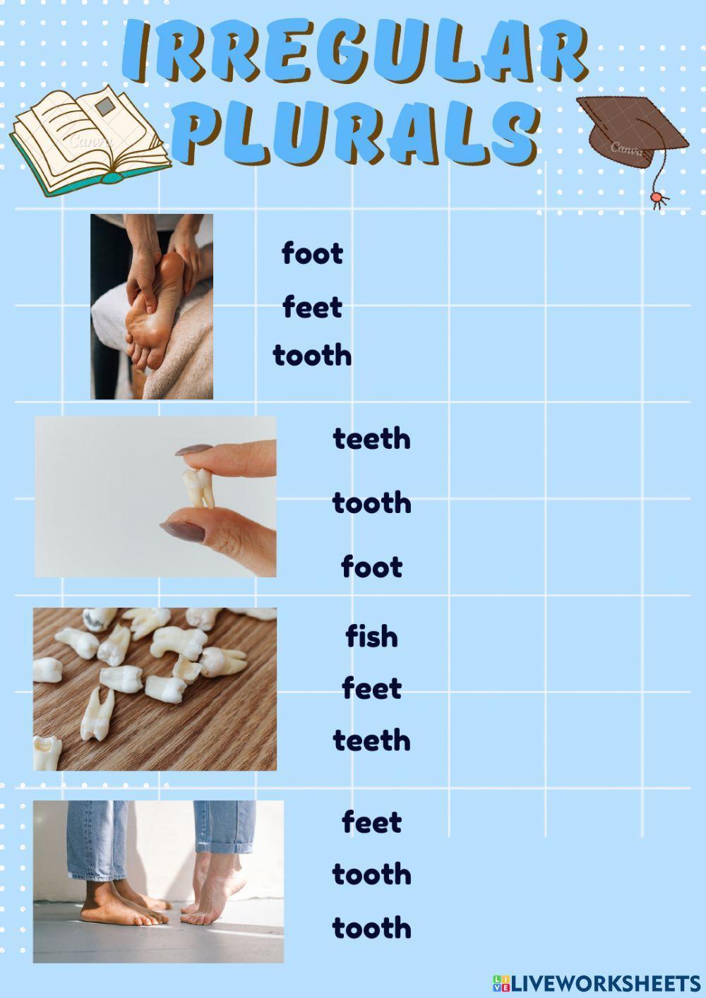 Irregular plurals of nouns