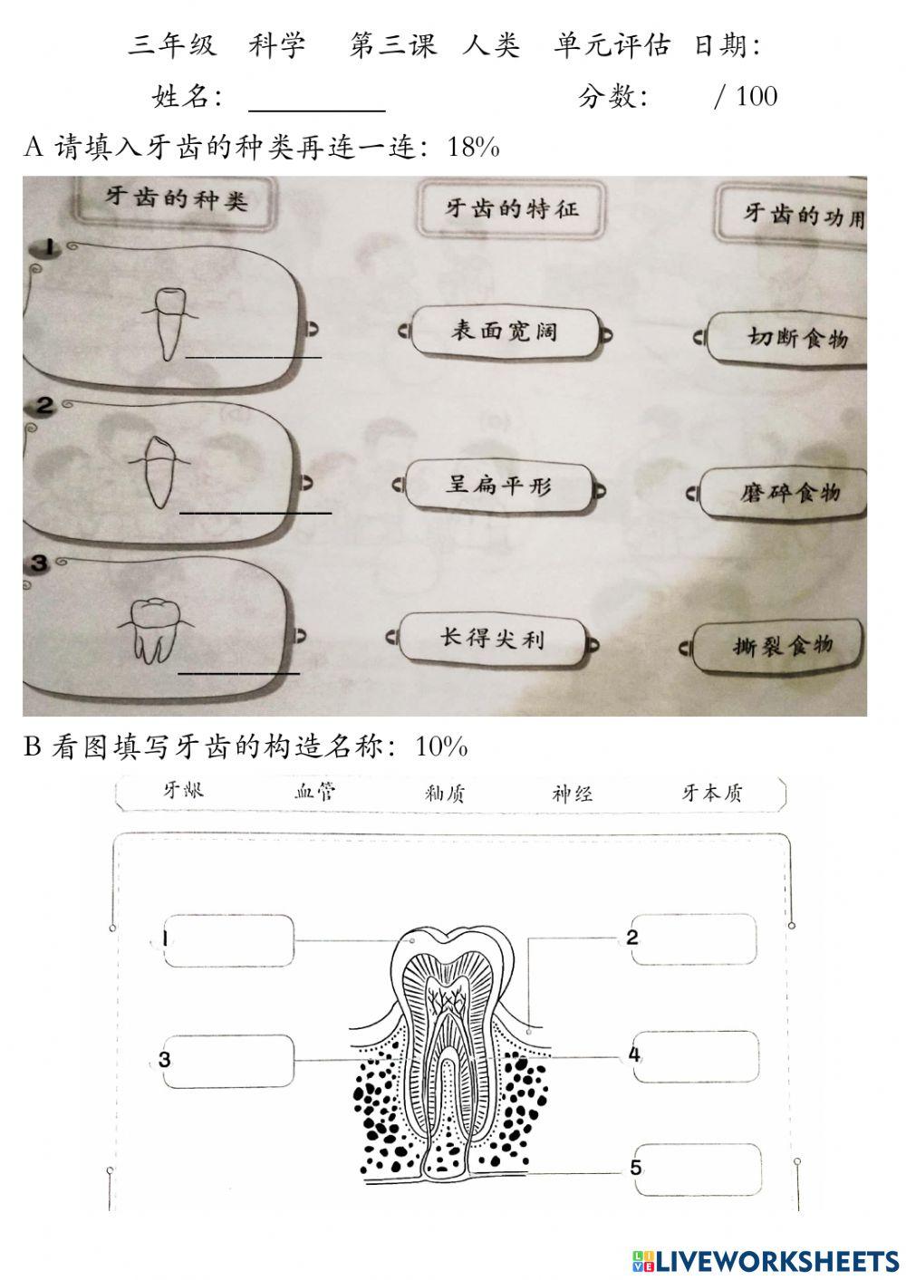 三年级科学第三课 人类