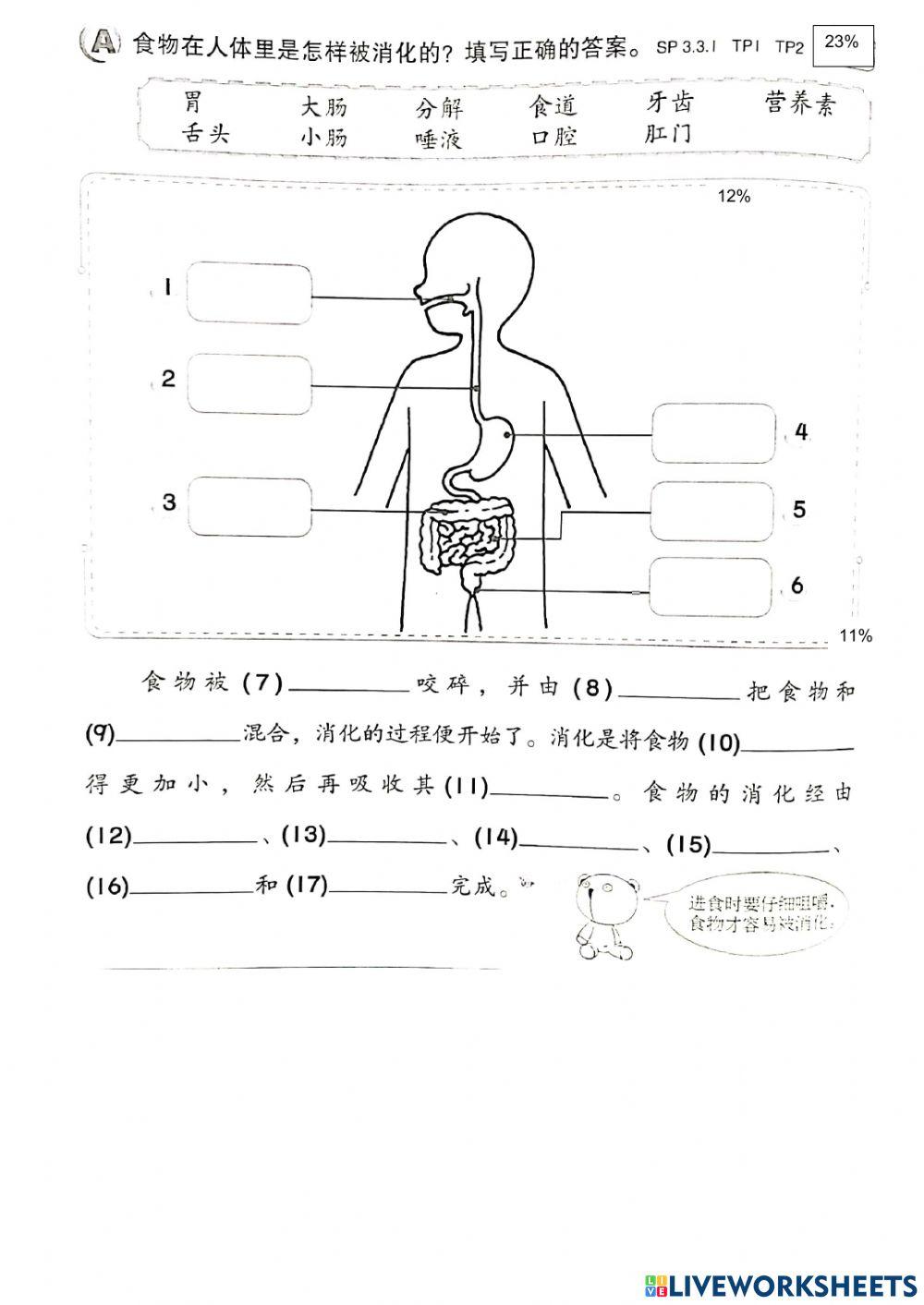 三年级科学第三课 人类