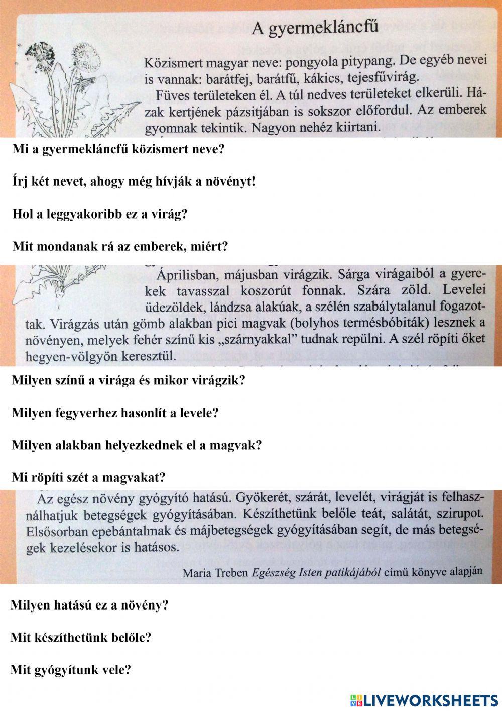 Pitypang-szövegértés