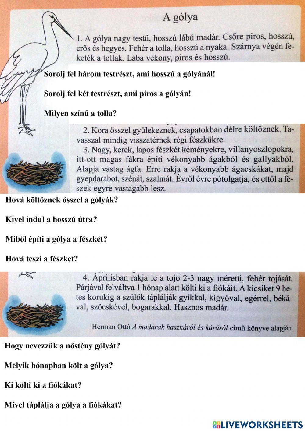 Gólyák-szövegértés