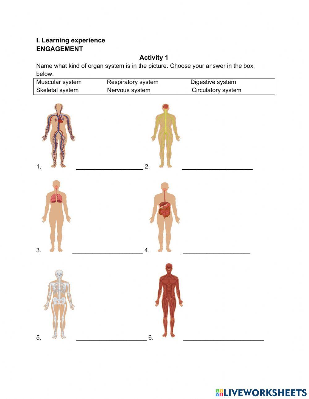 ORGAN SYSTEM REVIEW (PART 1)