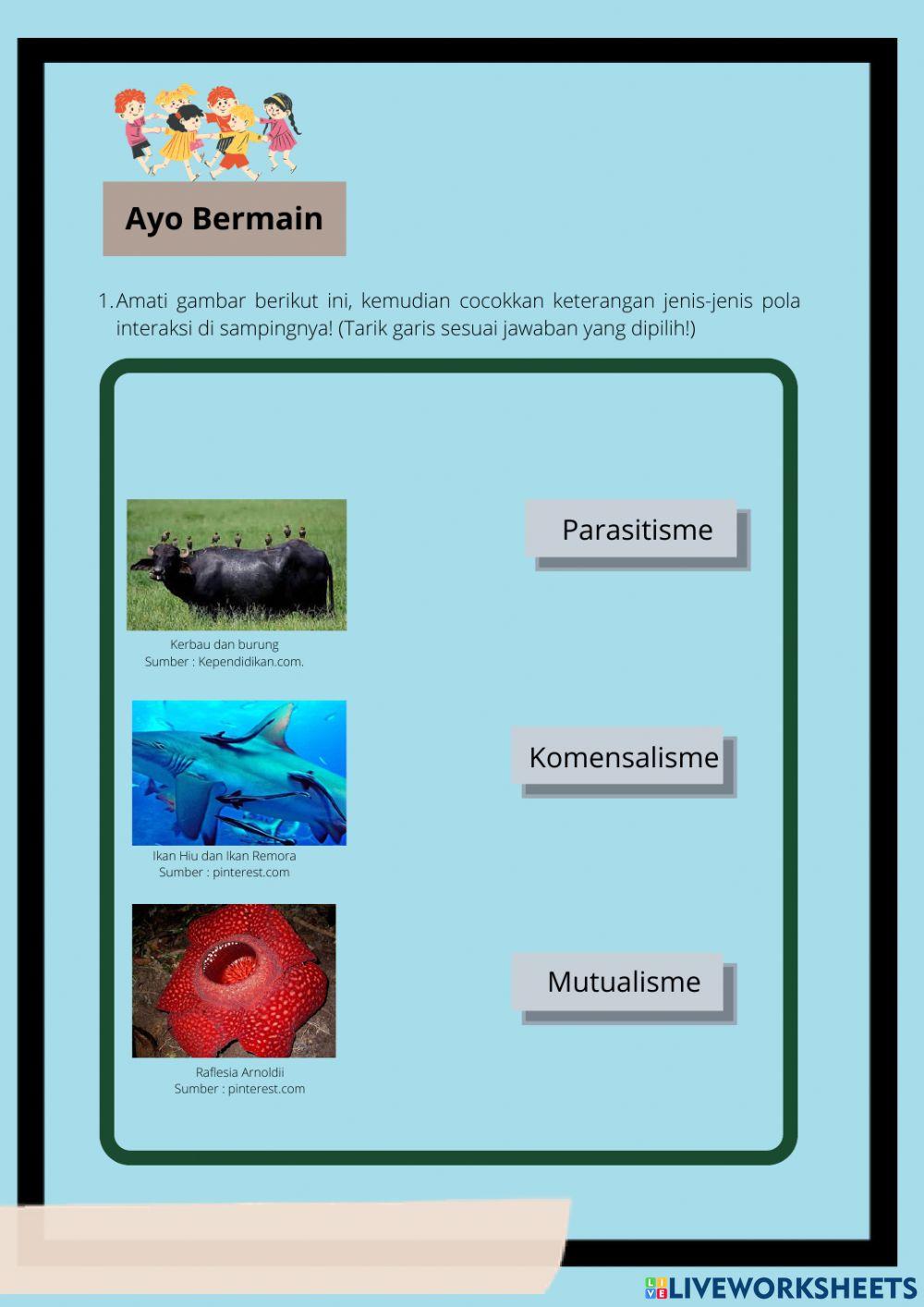 Interaksi Antar Makhluk Hidup