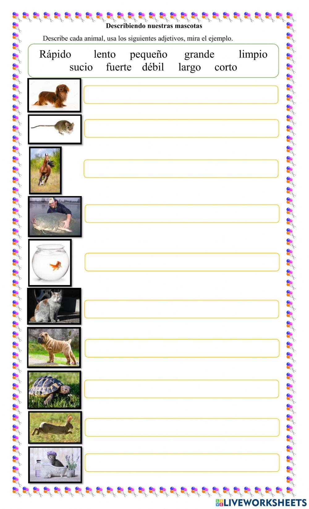 Describiendo nuestras mascotas