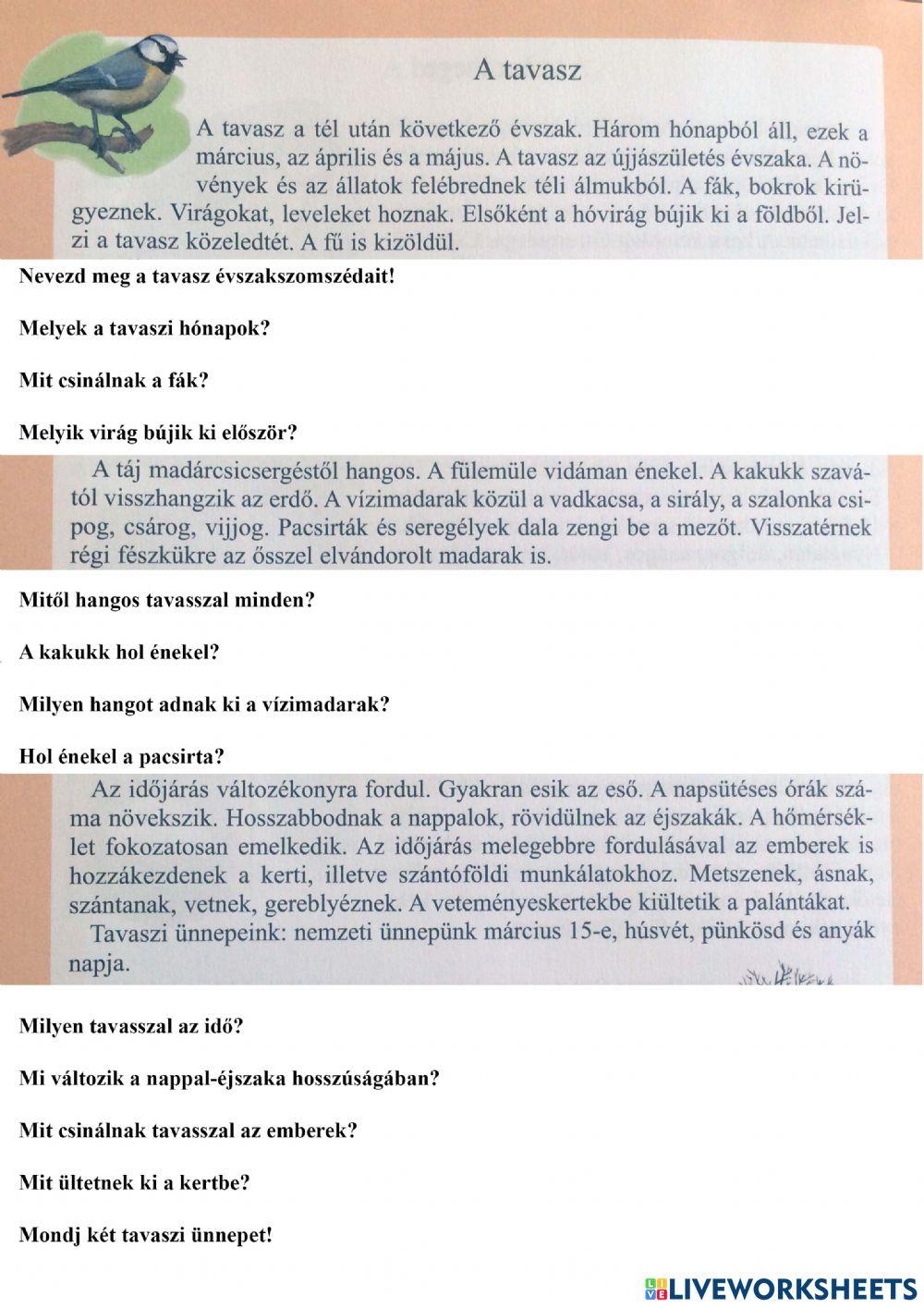 Tavasz-szövegértés