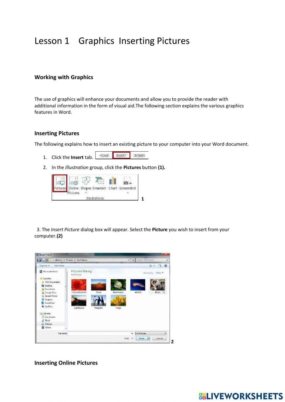 Lesson 1 Graphics Inserting Pictures