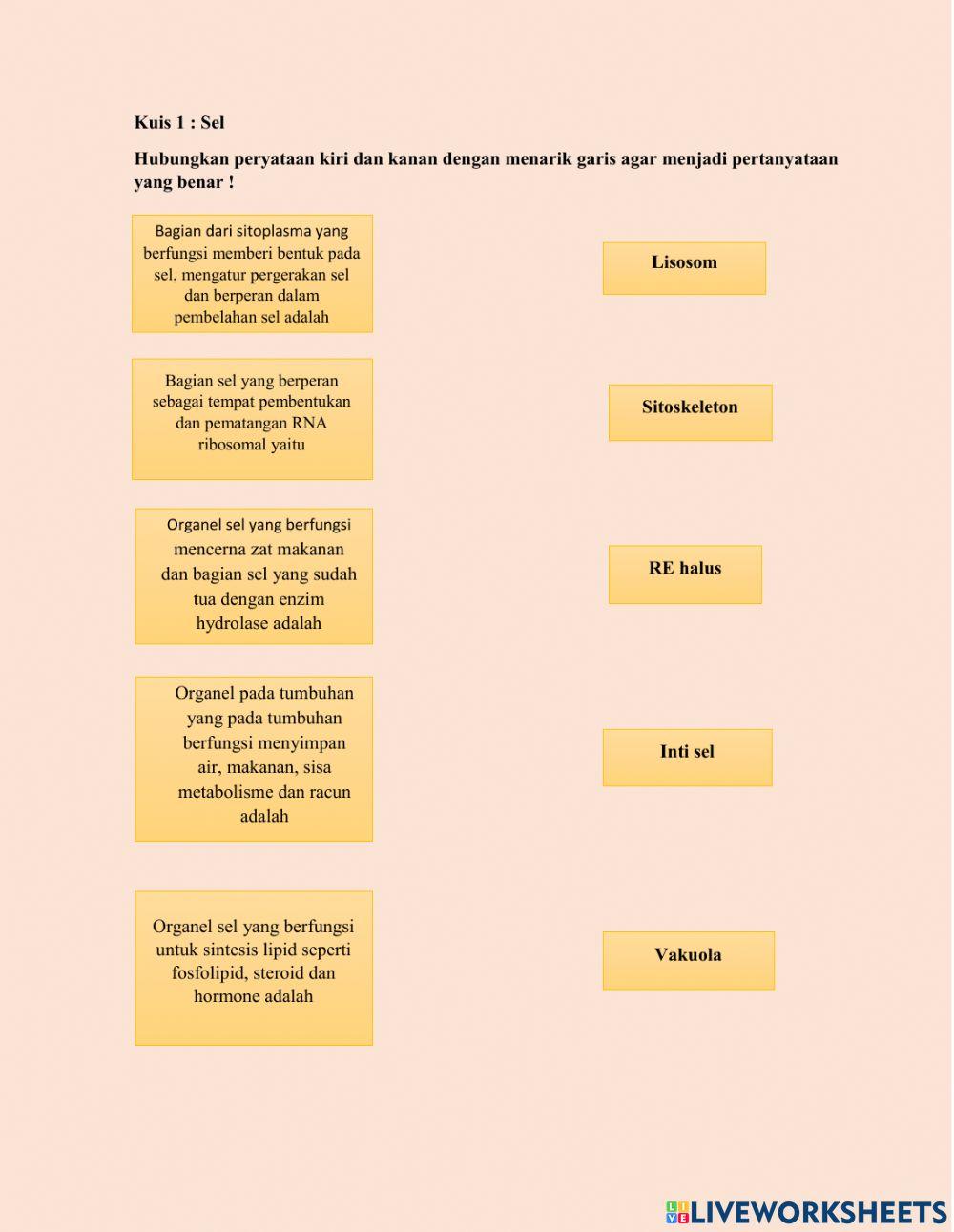 Kuis : Sel
