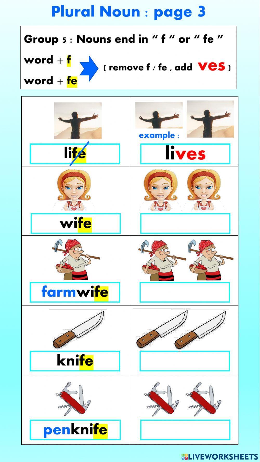 Plural Nouns Plural Nouns