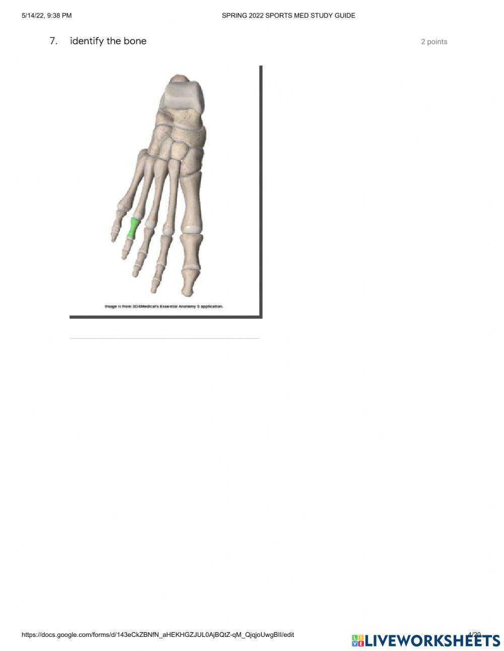 Sports medicine STUDY GUIDE PART 1 Biology Diagrams