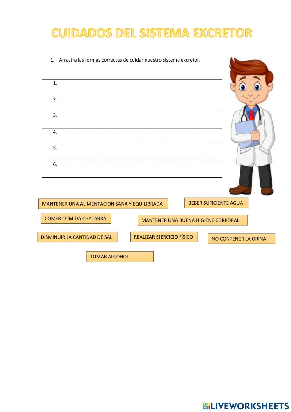 Cuidados del sistema excretor