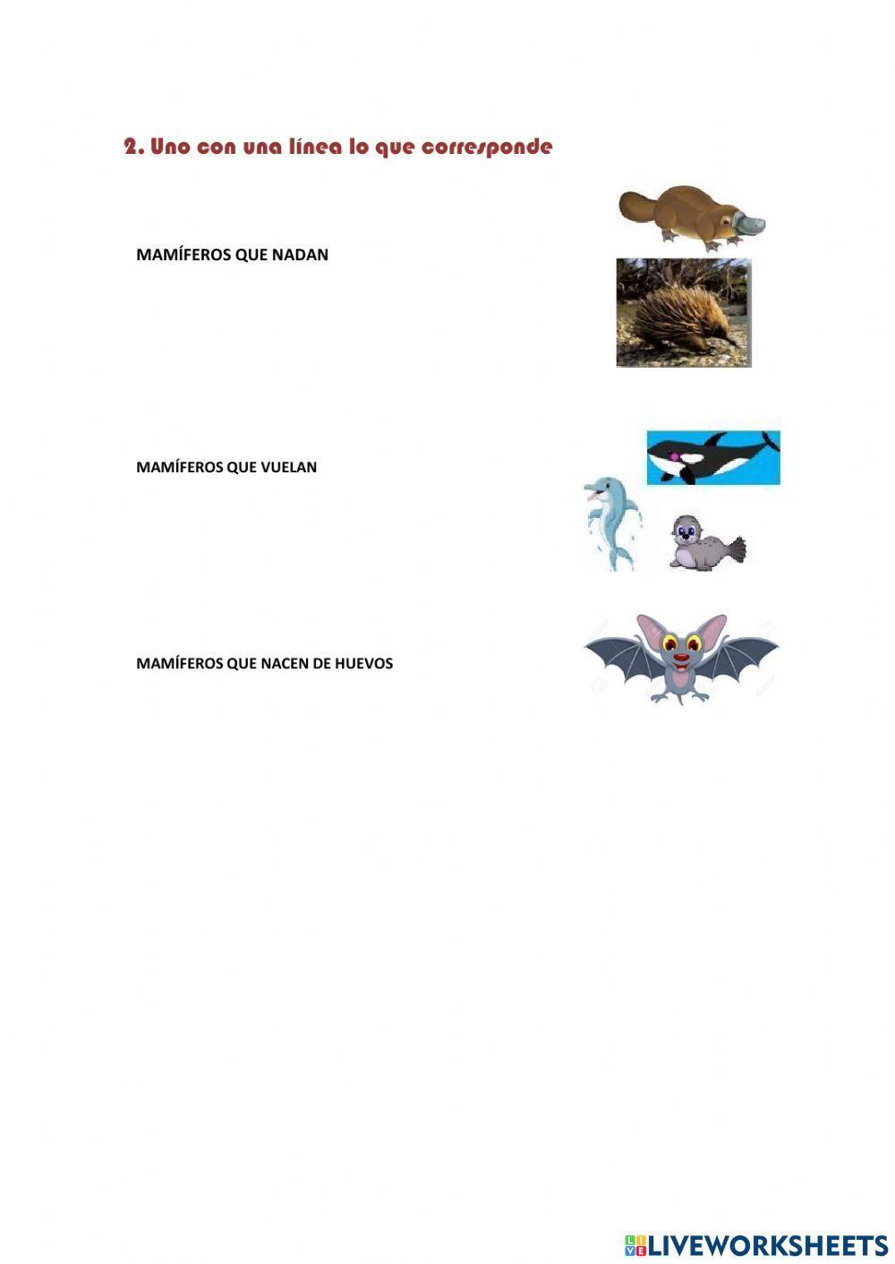 Ciclo de vida de los mamíferos