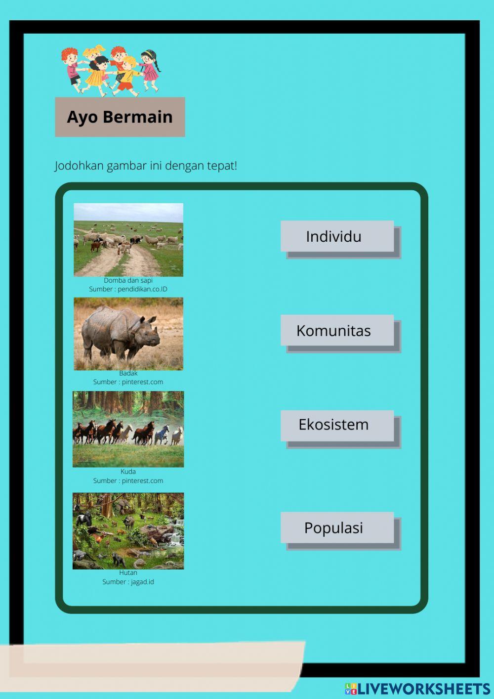 Komponen Biotik dan Komponen Abiotik