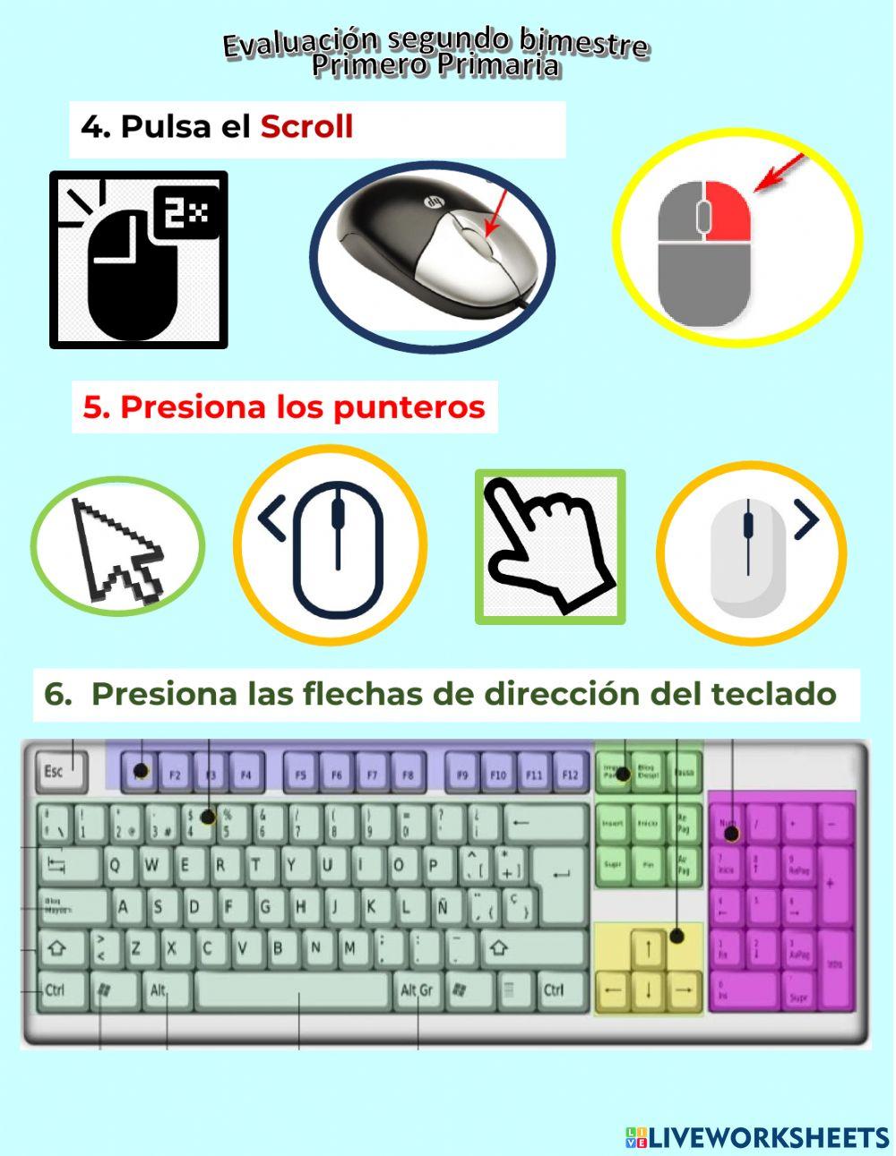 Evaluación segundo bimestre