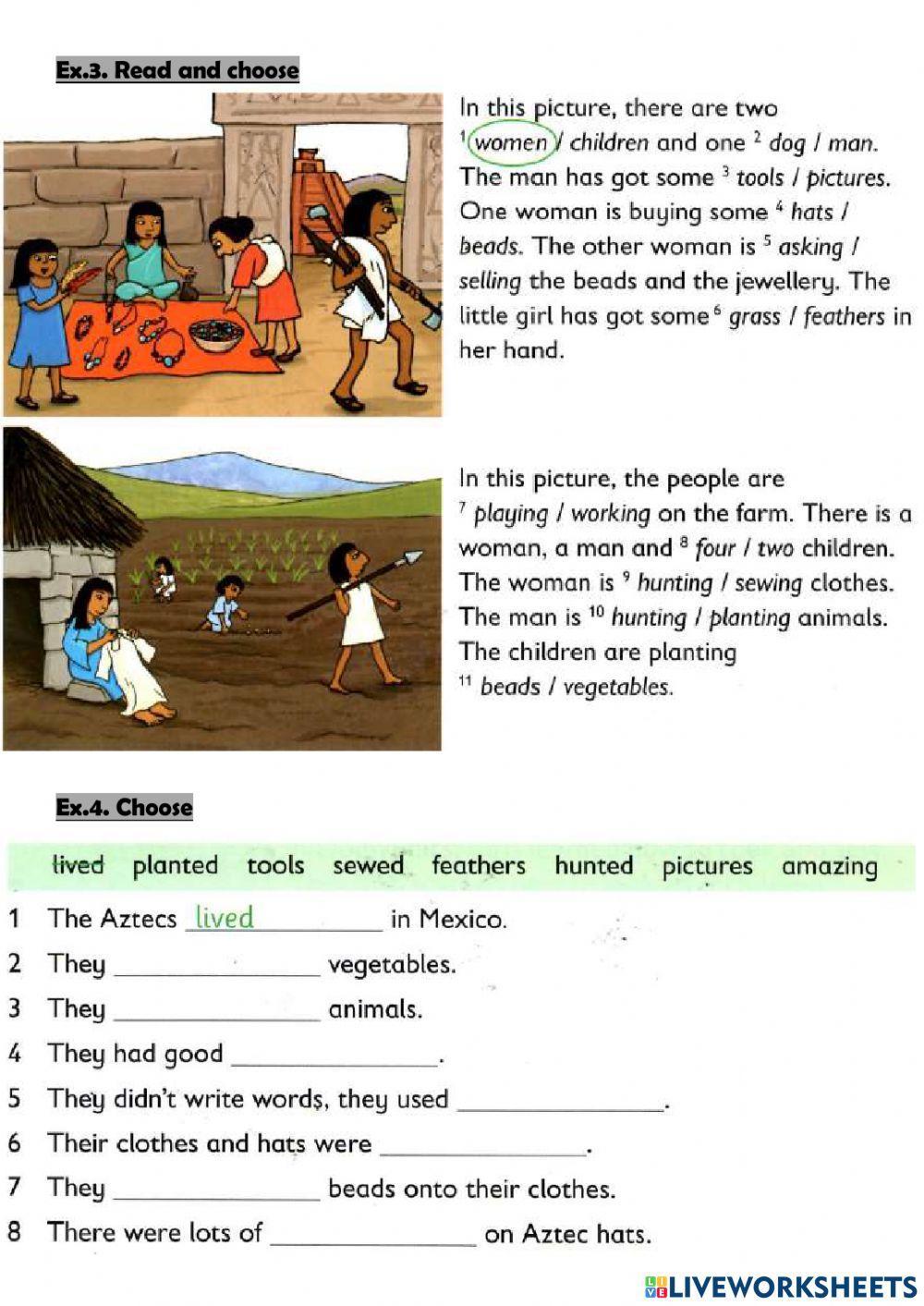 Reading - The Aztecs