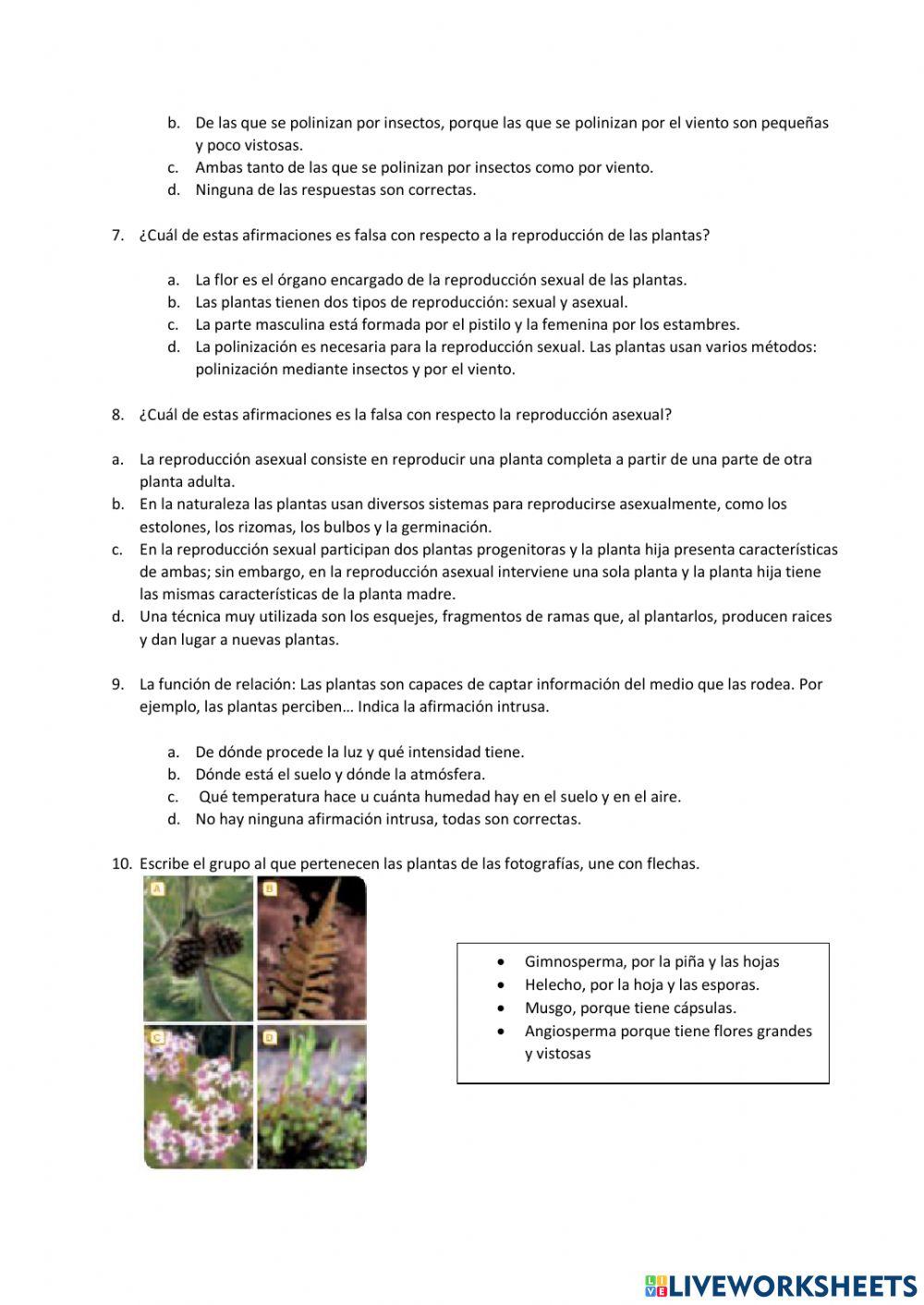 Naturales Tema 6 Las plantas