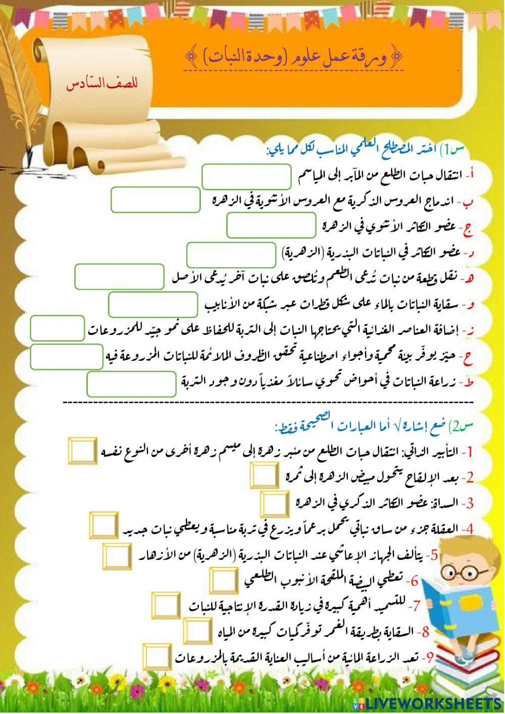 وحدة النبات