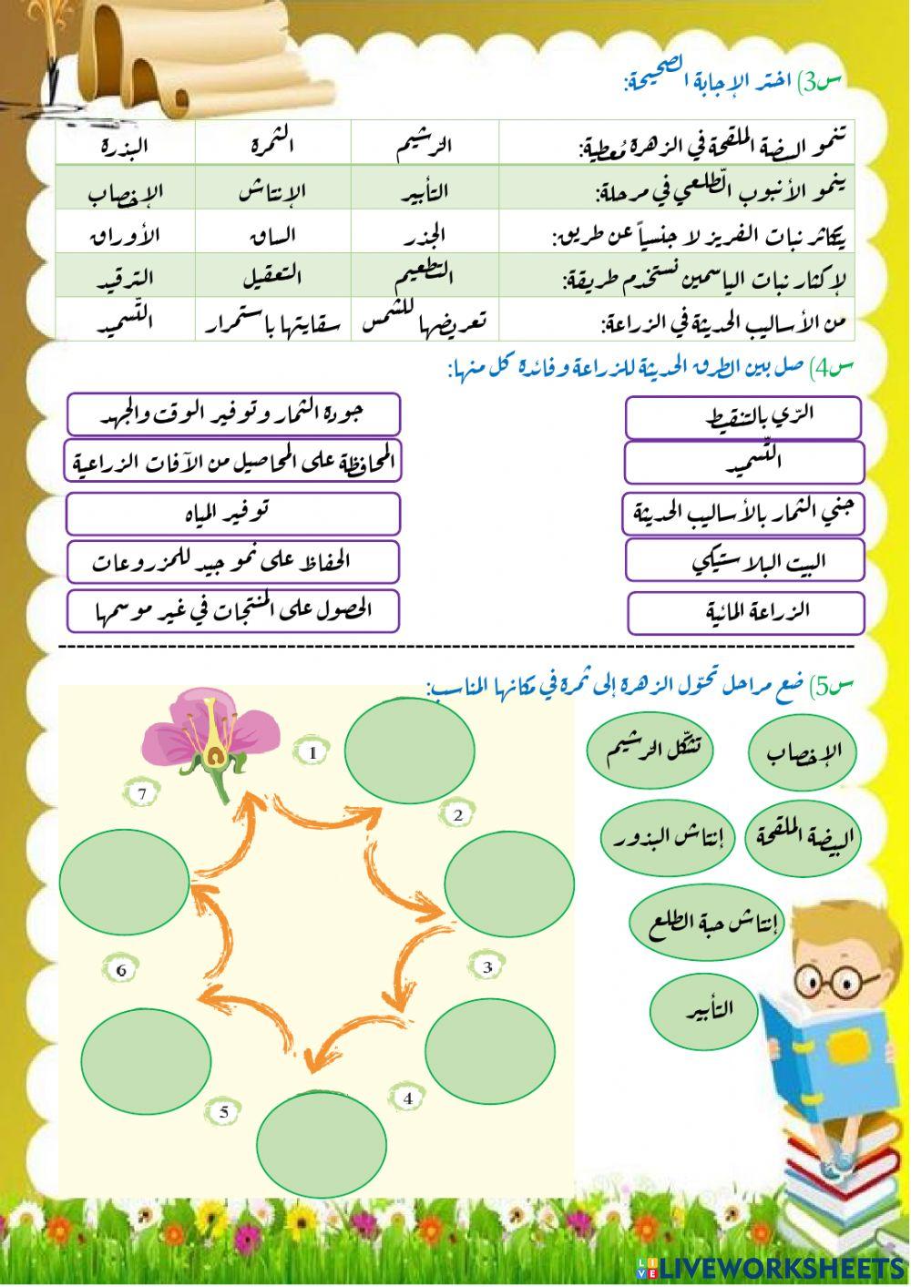 وحدة النبات