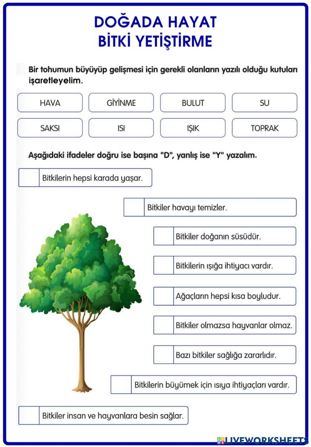 Doğada Hayat-Bitki Yetiştirme