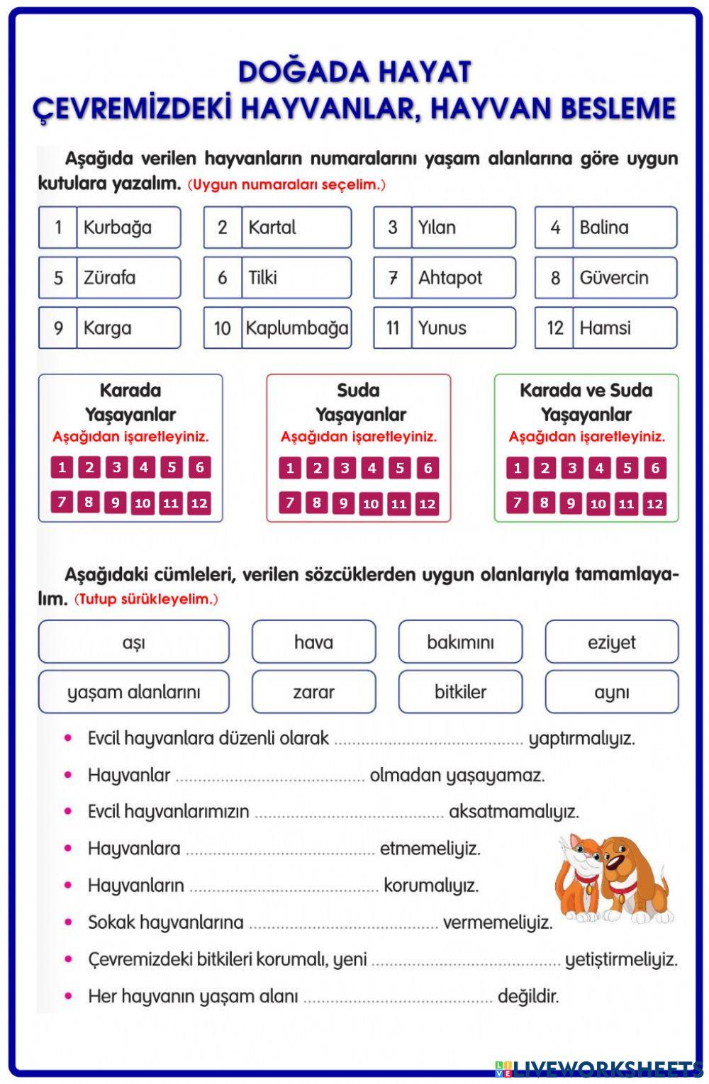 Doğada Hayat-Çevremizdeki Hayvanlar, Hayvan Besleme