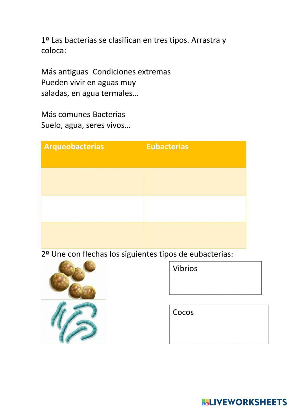 El reino moneras | Free Interactive Worksheets | 2037707