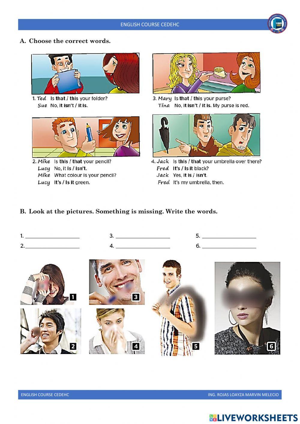 Have got and has got