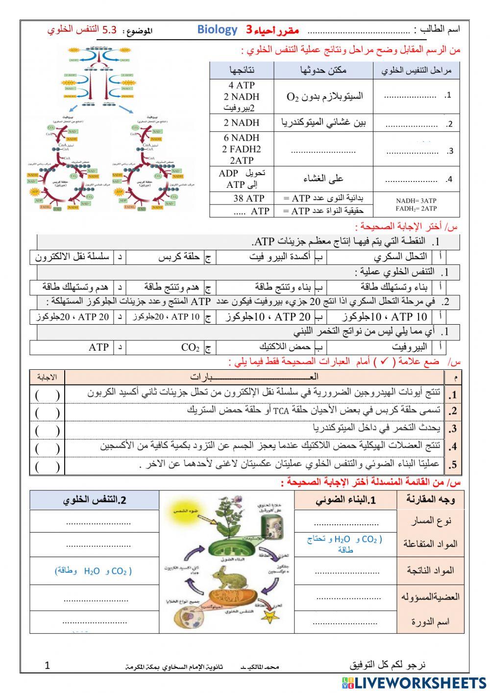 التنفس الخلوي تفاعلية