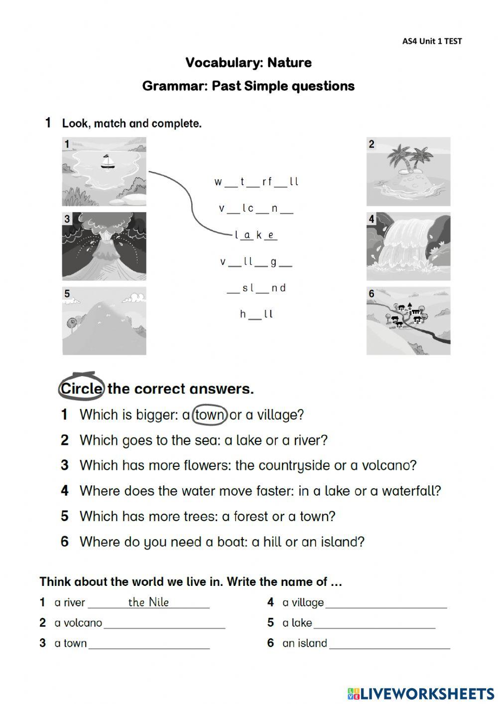 Past Simple Questions