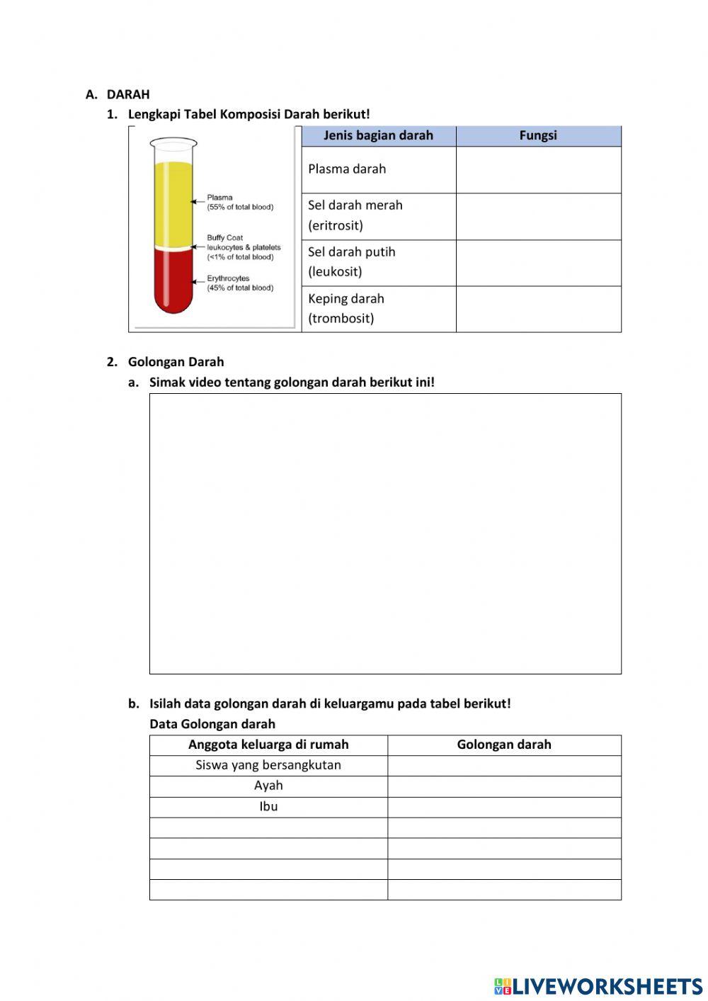 LKPD Sistem Peredaran Darah